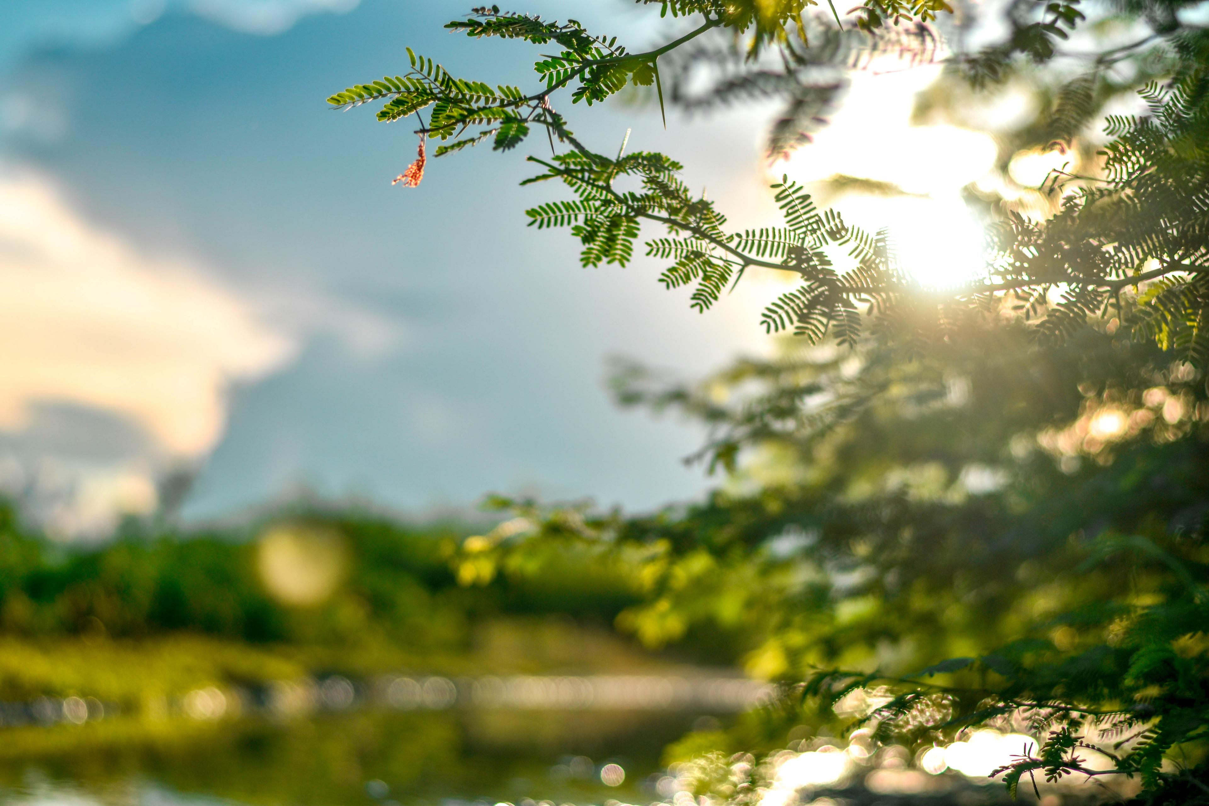 Blick in die Natur